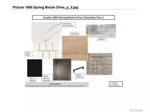 1869 Spring Bloom Dr, Windsor, CO 80550 photo 4