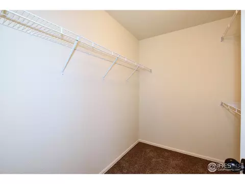 1110 Tur St, Severance, CO 80550 photo 21