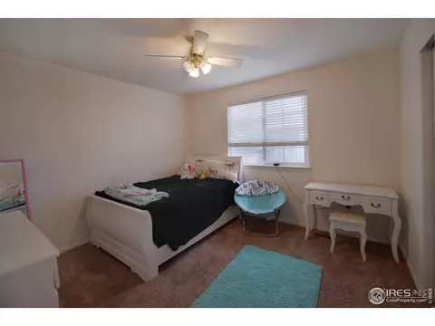 362 Shadowbrook Dr, Windsor, CO 80550 photo 16