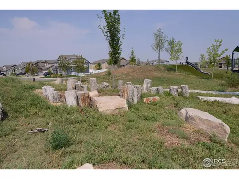 362 Shadowbrook Dr, Windsor, CO 80550 photo 30