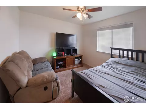 362 Shadowbrook Dr, Windsor, CO 80550 photo 21
