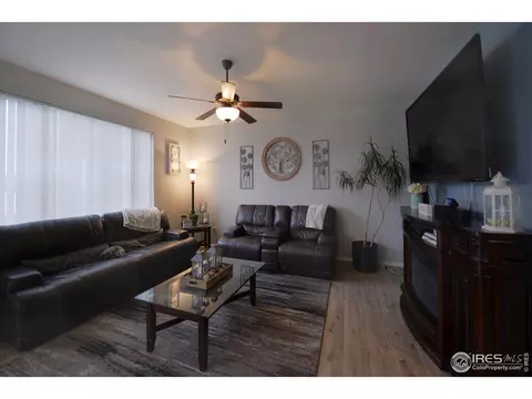 362 Shadowbrook Dr, Windsor, CO 80550 photo 4