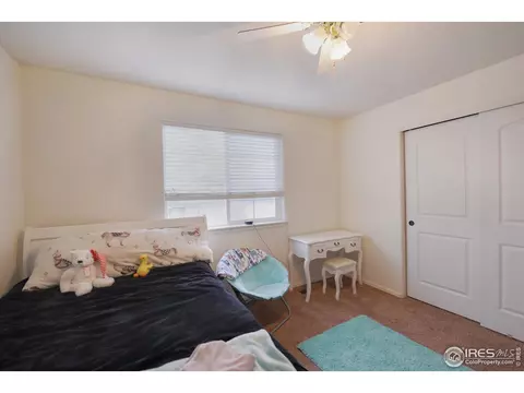 362 Shadowbrook Dr, Windsor, CO 80550 photo 17