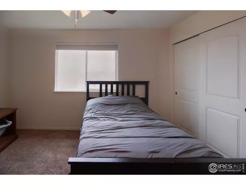 362 Shadowbrook Dr, Windsor, CO 80550 photo 22
