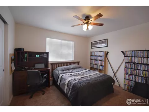 362 Shadowbrook Dr, Windsor, CO 80550 photo 19