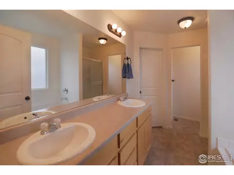 362 Shadowbrook Dr, Windsor, CO 80550 photo 14