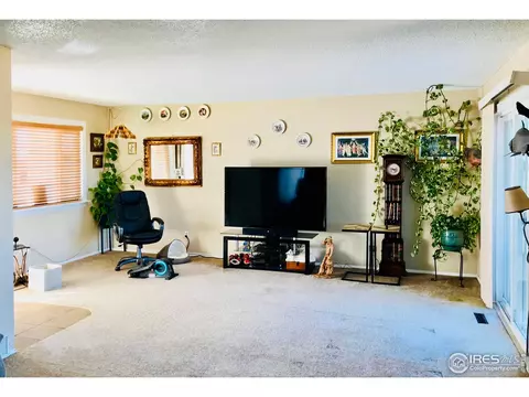 3789 S County Road 129, Bennett, CO 80102 photo 5