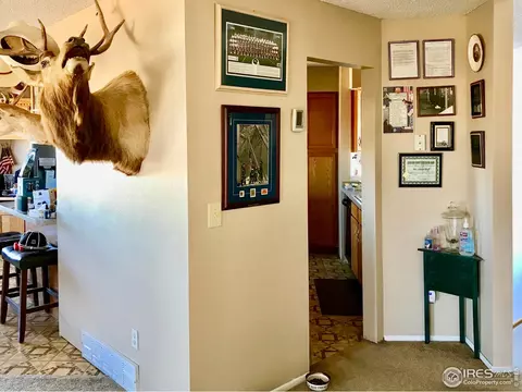 3789 S County Road 129, Bennett, CO 80102 photo 6
