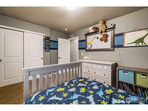 2043 Bayfront Dr, Windsor, CO 80550 photo 24