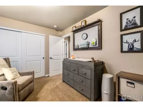 2043 Bayfront Dr, Windsor, CO 80550 photo 26