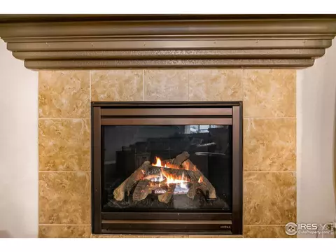 2043 Bayfront Dr, Windsor, CO 80550 photo 18