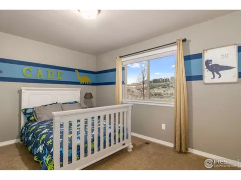 2043 Bayfront Dr, Windsor, CO 80550 photo 20