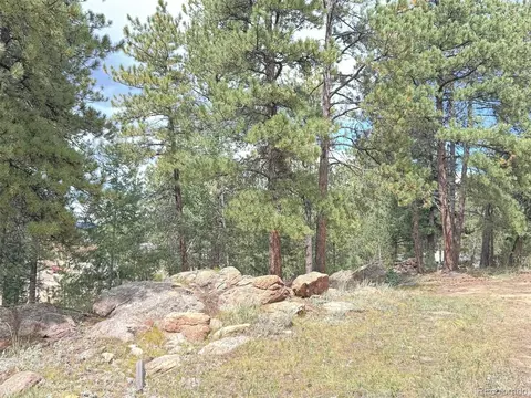 14054 S Wandcrest Dr, Pine, CO 80470 photo 3