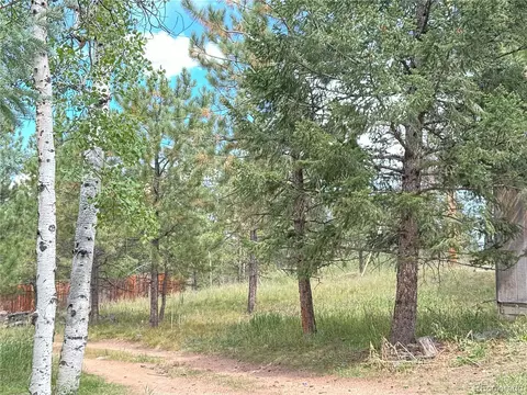 14054 S Wandcrest Dr, Pine, CO 80470 photo 20