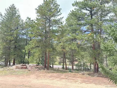 14054 S Wandcrest Dr, Pine, CO 80470 photo 11