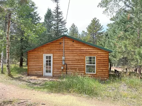 14054 S Wandcrest Dr, Pine, CO 80470 photo 15