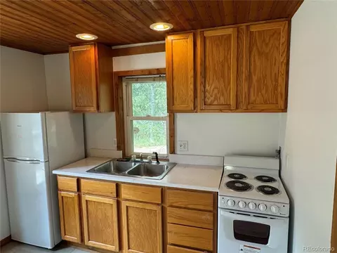 14054 S Wandcrest Dr, Pine, CO 80470 photo 10