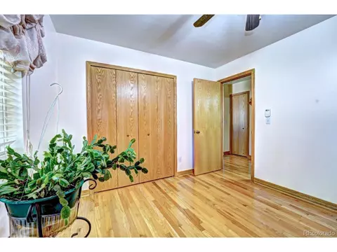 179 Pinyon Dr, Fruita, CO 81521 photo 16
