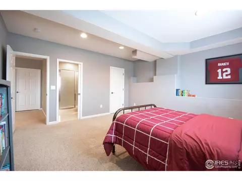 2029 Kaplan Ct, Windsor, CO 80550 photo 37