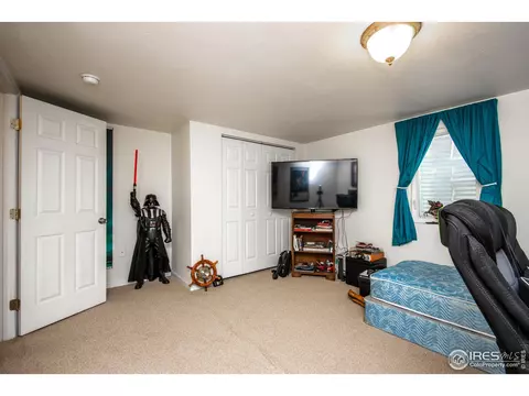 317 8th St, Windsor, CO 80550 photo 22