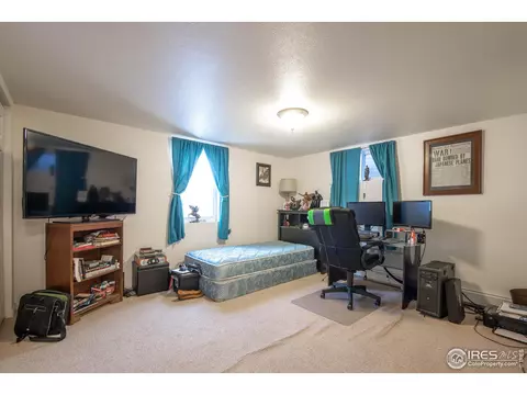 317 8th St, Windsor, CO 80550 photo 21