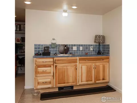 317 8th St, Windsor, CO 80550 photo 20