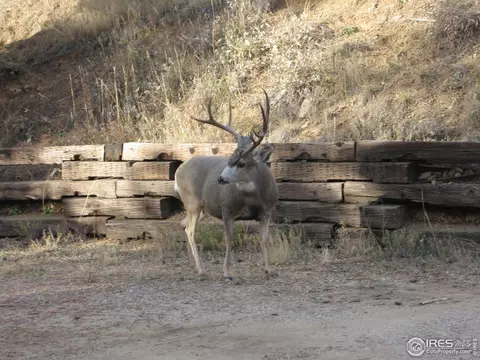 893 Logan Mill Rd, Boulder, CO 80302 photo 18