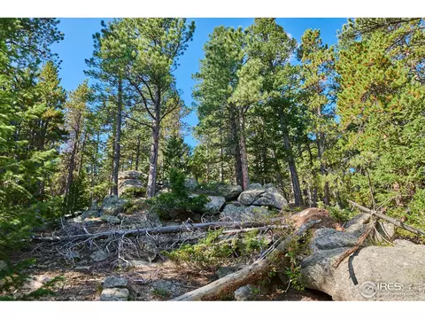 247 Gordon Creek Rd, Boulder, CO 80302 photo 17