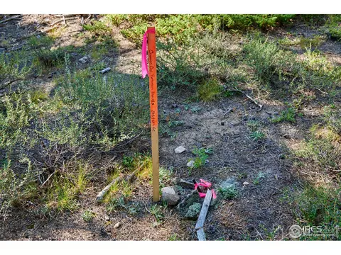 247 Gordon Creek Rd, Boulder, CO 80302 photo 10