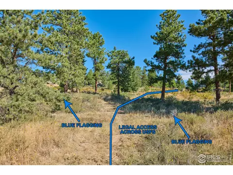 247 Gordon Creek Rd, Boulder, CO 80302 photo 7
