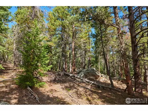 247 Gordon Creek Rd, Boulder, CO 80302 photo 21