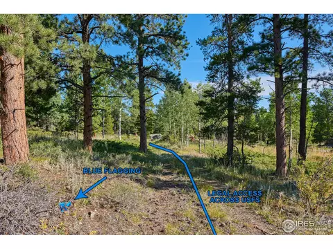247 Gordon Creek Rd, Boulder, CO 80302 photo 9