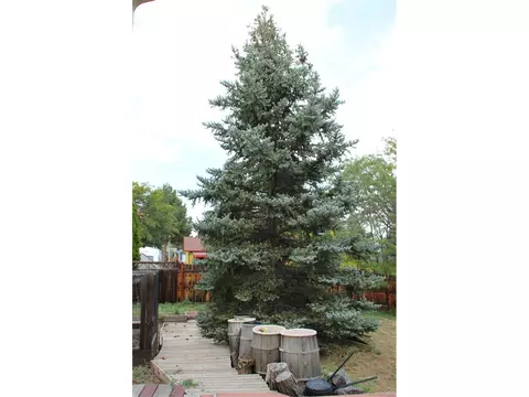 17124 E Kent Dr, Aurora, CO 80013 photo 3