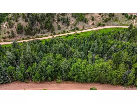 762 Little Topsey Dr, Cripple Creek, CO 80813