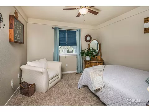 540 Wind River Dr, Windsor, CO 80550 photo 25
