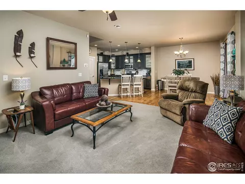 540 Wind River Dr, Windsor, CO 80550 photo 15