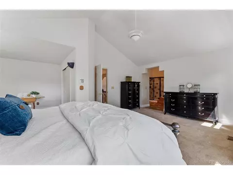 10044 Armadillo Dr, Lone Tree, CO 80124 photo 31