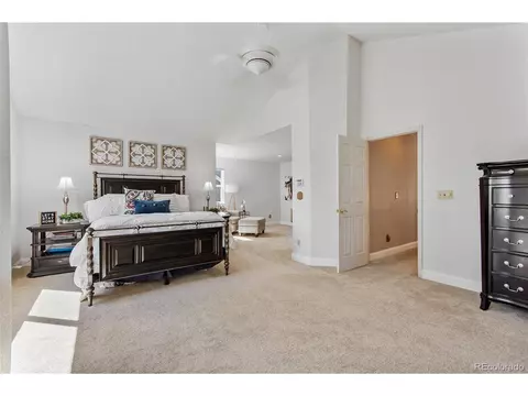 10044 Armadillo Dr, Lone Tree, CO 80124 photo 30