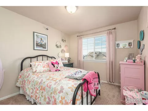 321 Shadowbrook Dr, Windsor, CO 80550 photo 17