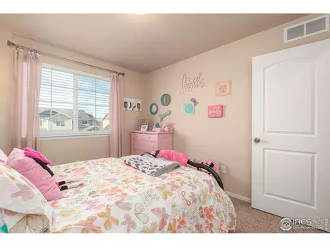 321 Shadowbrook Dr, Windsor, CO 80550 photo 16