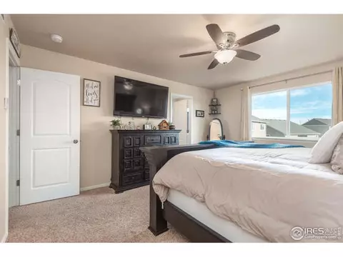 321 Shadowbrook Dr, Windsor, CO 80550 photo 18