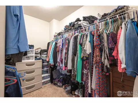 321 Shadowbrook Dr, Windsor, CO 80550 photo 22