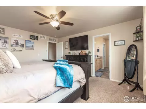 321 Shadowbrook Dr, Windsor, CO 80550 photo 19