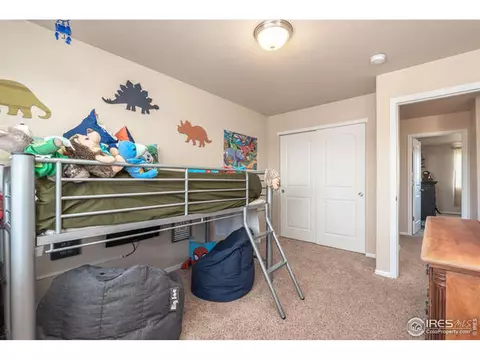 321 Shadowbrook Dr, Windsor, CO 80550 photo 14