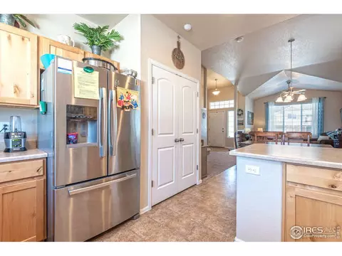321 Shadowbrook Dr, Windsor, CO 80550 photo 8