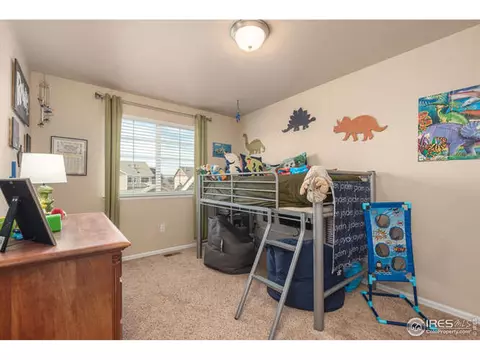 321 Shadowbrook Dr, Windsor, CO 80550 photo 15