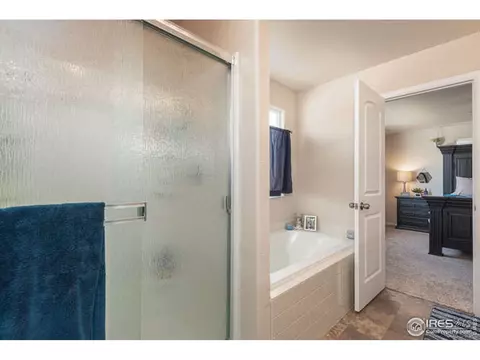 321 Shadowbrook Dr, Windsor, CO 80550 photo 20
