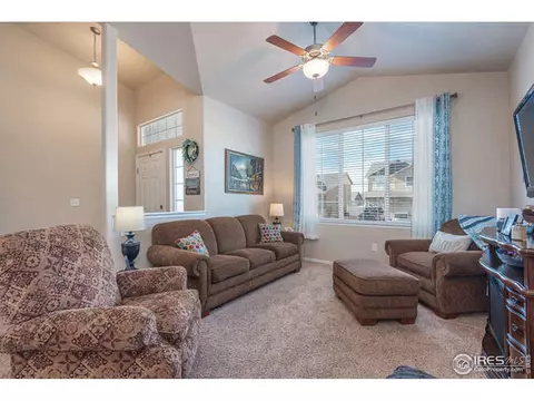 321 Shadowbrook Dr, Windsor, CO 80550 photo 3