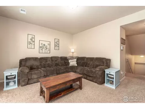 321 Shadowbrook Dr, Windsor, CO 80550 photo 10