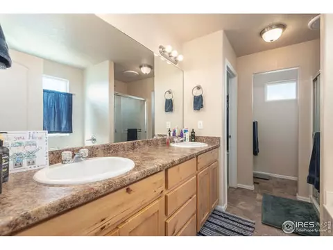 321 Shadowbrook Dr, Windsor, CO 80550 photo 21